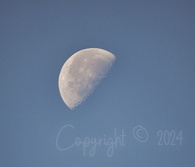 Moon at Daylight