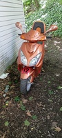 scooter1