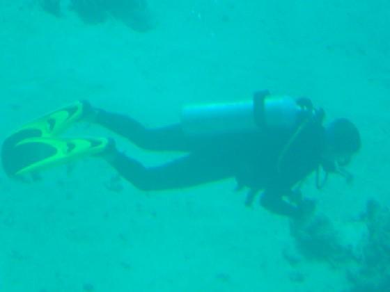 1208245-Diving-Sharm_El_Sheikh.jpg